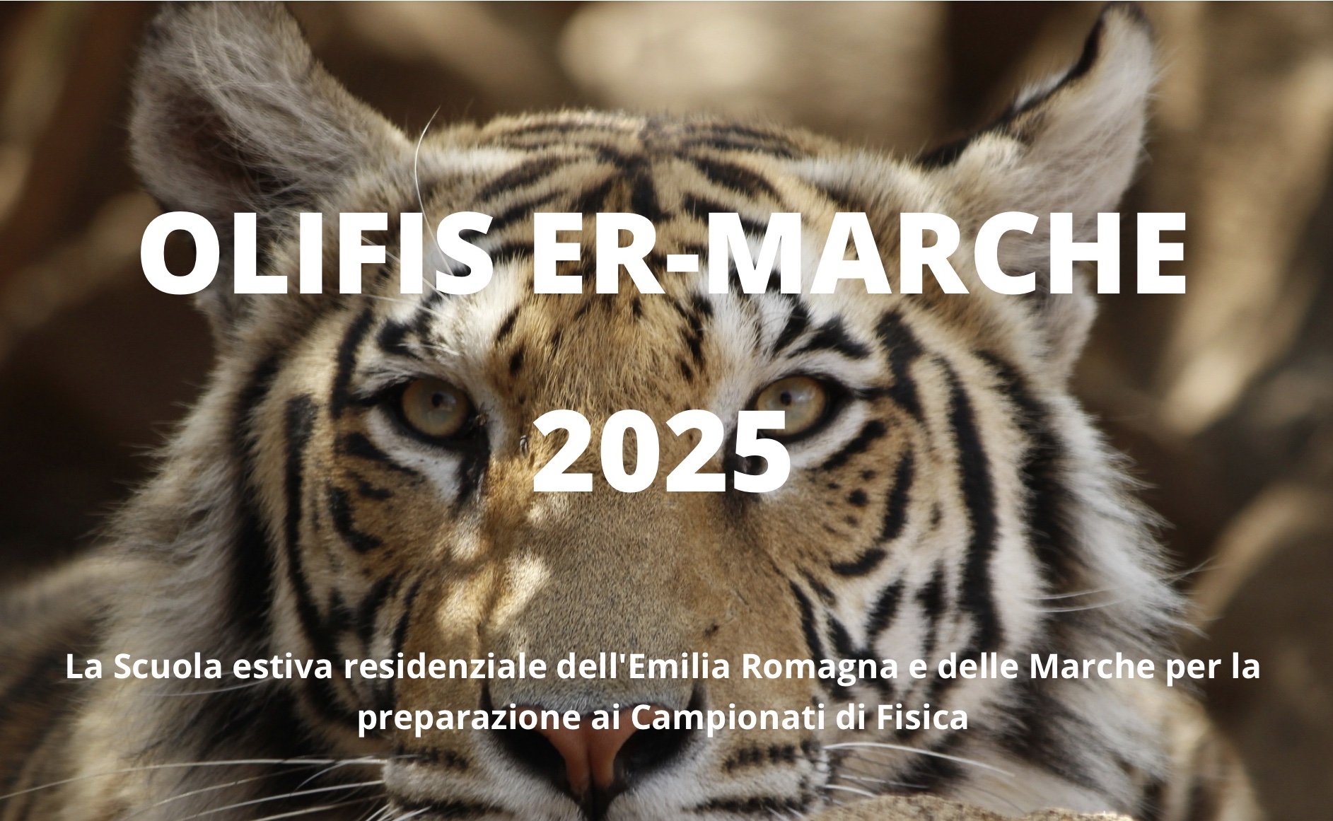 scuola OLIFIS ER-Marche 2025 