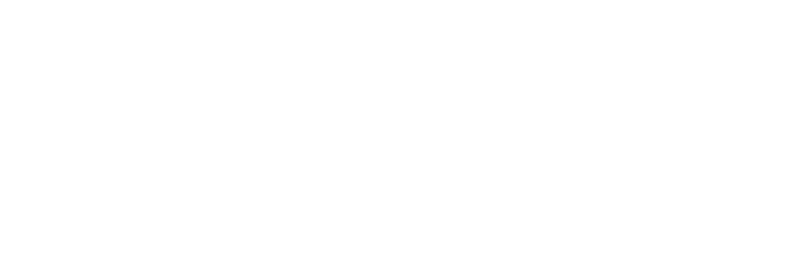 logo-bianco Fisica e Scuola