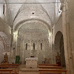IMG_9916