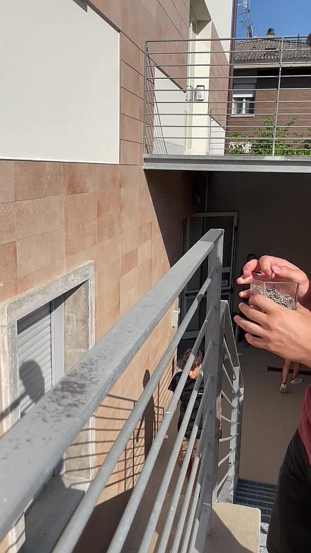 Play video