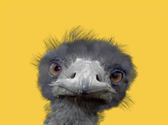 This image for Image Layouts addon