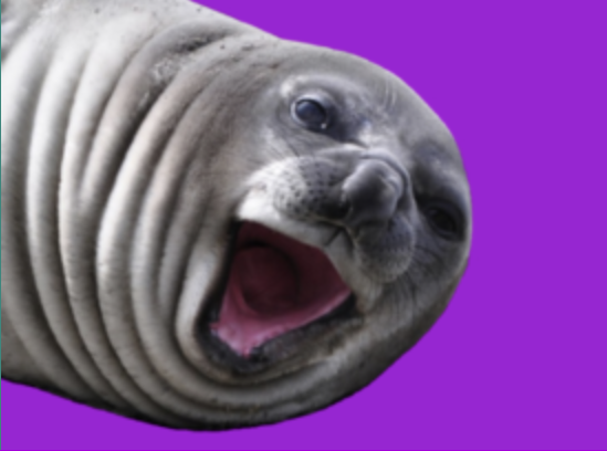 This image for Image Layouts addon