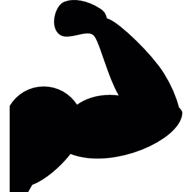 muscoli