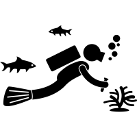 886250 200