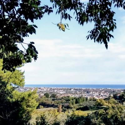 Immagine3