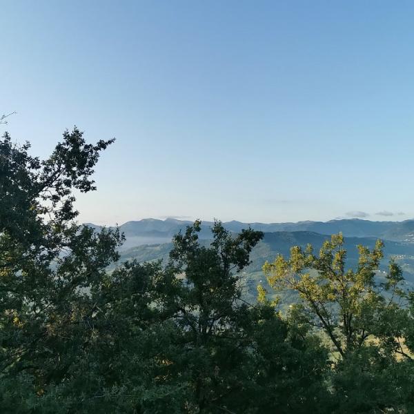 Foto-14